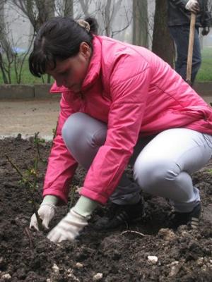 Прикрепленное изображение: Smoligovets.jpg